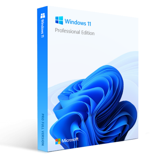 Windows 11 Professional license product key box