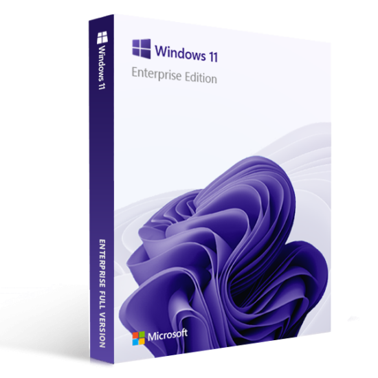 Windows 11 enterprise product key license box